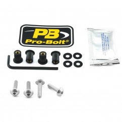 BOLT KIT SCREEN SILVER