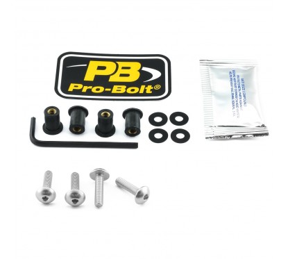 BOLT KIT SCREEN SILVER