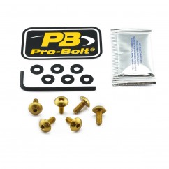 BOLT KIT SCREEN GOLD