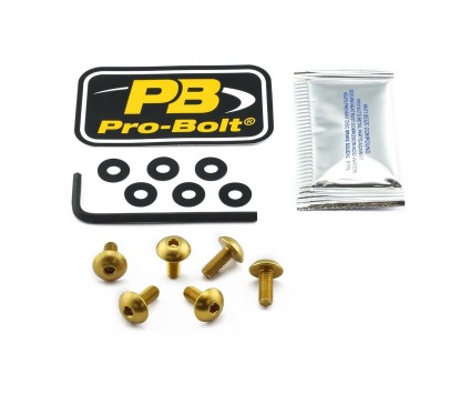 BOLT KIT SCREEN GOLD