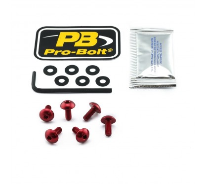 BOLT KIT SCREEN RED