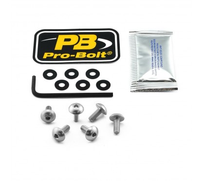 BOLT KIT SCREEN SILVER