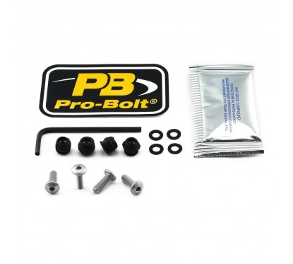 BOLT KIT SCREEN SILVER