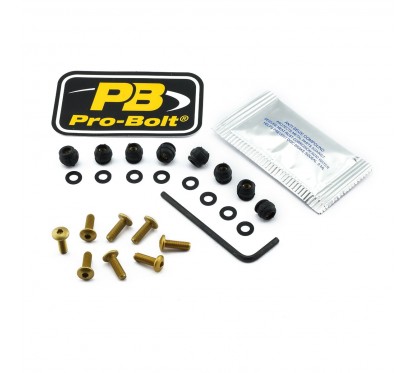 BOLT KIT SCREEN GOLD