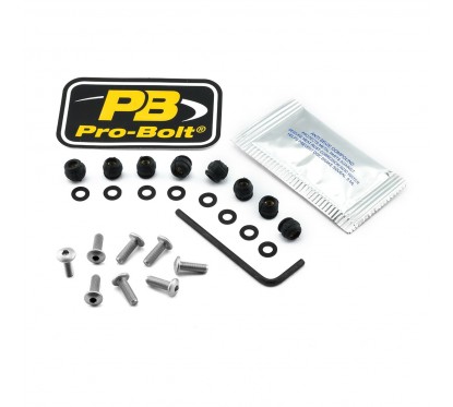 BOLT KIT SCREEN SILVER