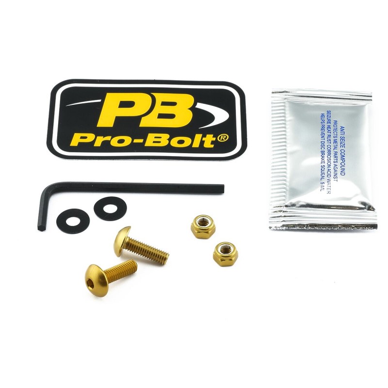 BOLT KIT SCREEN GOLD