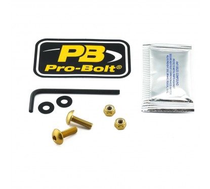 BOLT KIT SCREEN GOLD