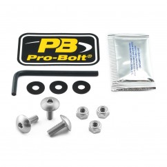 BOLT KIT SCREEN SILVER