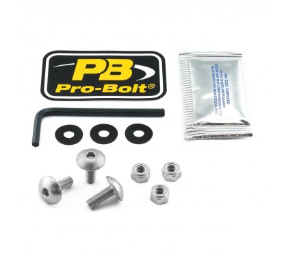 BOLT KIT SCREEN SILVER