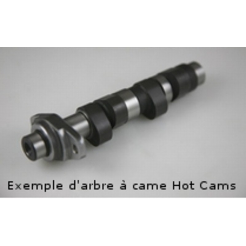 Arbre à cames HOT CAMS - Niveau 2 Polaris