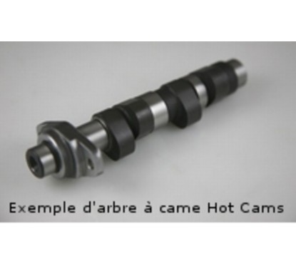 Arbre à cames HOT CAMS - Niveau 2 Polaris