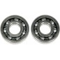 BEARINGS CRANK-XR/TRX