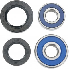 BEARING RR WHEEL TTR