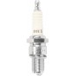 SPARK PLUG NGK B8ES