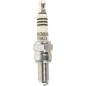 SPARK PLUG NGK CR8EIX