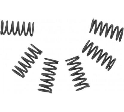 CLUTCH SPRING SET CSK