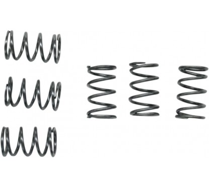 CLUTCH SPRING SET CSK