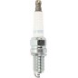 SPARK PLUG NGK DCPR9E