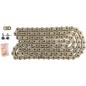 CHAIN RK520EXW GG 110C