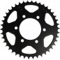 SPROCKET RR 42T