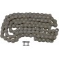 CHAIN RK520 110C