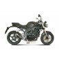 Silencieux MIVV GP carbone  Triumph Speed Triple 1050