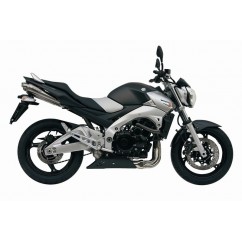 Silencieux double MIVV X-Cone inox Suzuki GSR600