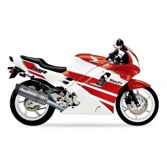 Silencieux IXIL Hexoval Xtrem - Honda CBR 600 F - OH6041VSE