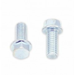 Vis à bride BOLT tête hexagonale 8mm M6x1x14mm 10 pièces