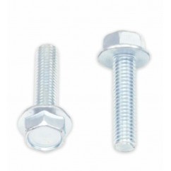 Vis à bride BOLT tête hexagonale 10mm M6x1x25mm 10 pièces