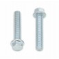 Vis à bride BOLT tête hexagonale 8mm M6x1x30mm 10 pièces