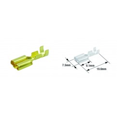 Cosse femelle électrique TOURMAX type 250