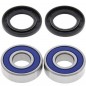 Kit roulements de roue arrière ALL BALLS Yamaha FZ8/MT-09