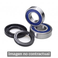 Rear Wheel Bearing Kit All Balls 25-1703