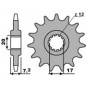 Pignon PBR acier standard 600M - 420