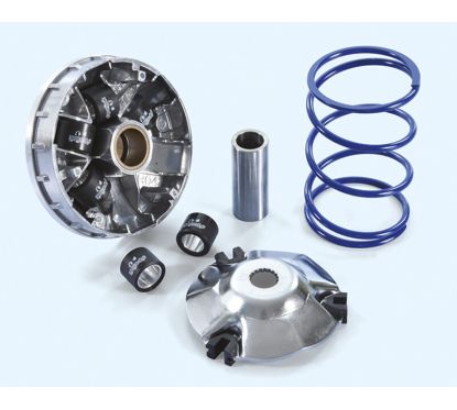 Variateur POLINI