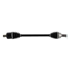 Cardan ALL BALLS