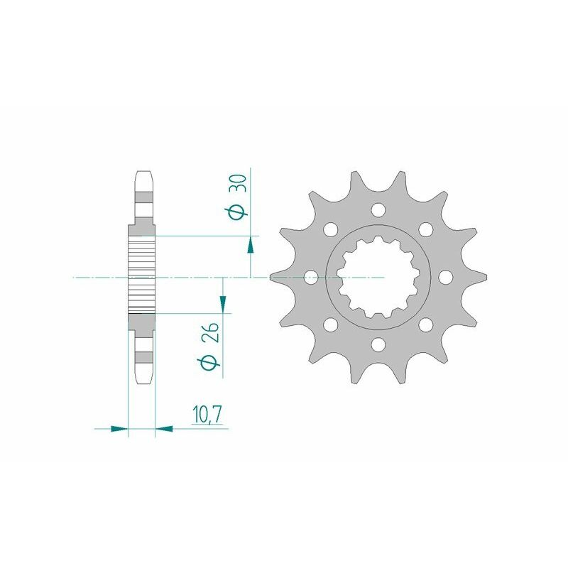 Pignon AFAM acier standard - 525