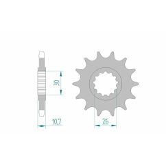 Pignon AFAM acier standard - 525