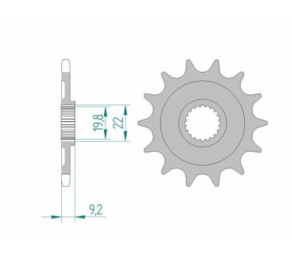 Pignon AFAM acier standard - 520