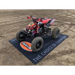 Tapis de paddock environnemental TWIN AIR - 250 x 190cm