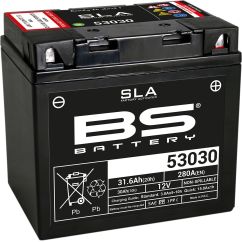 Batterie AGM SLA activée en usine sans entretien