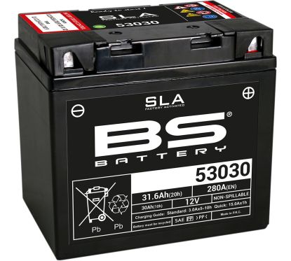 Batterie AGM SLA activée en usine sans entretien