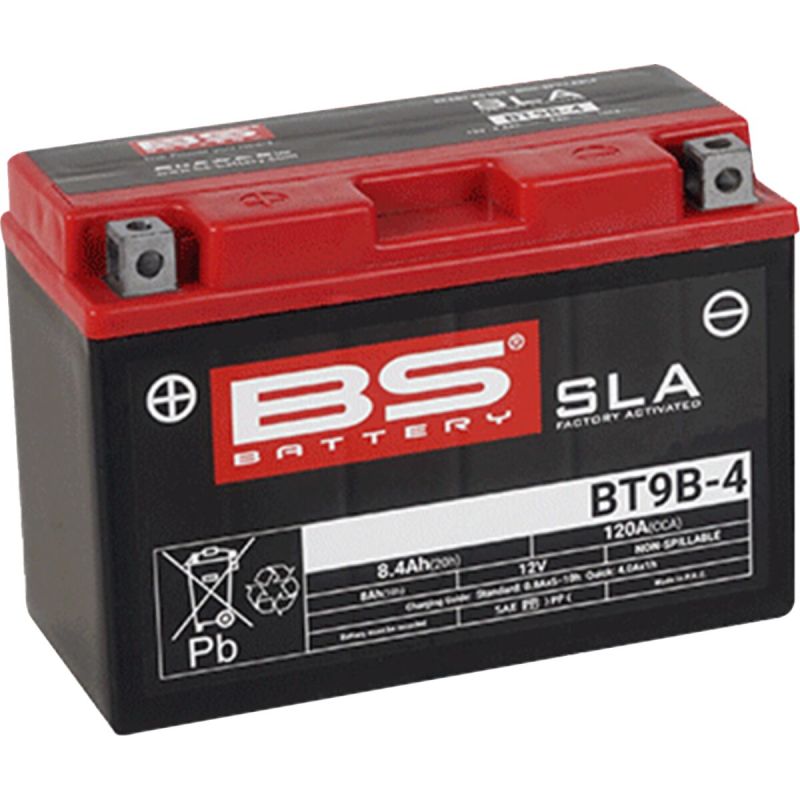 Batterie AGM SLA activée en usine sans entretien