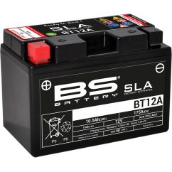 Batterie AGM SLA activée en usine sans entretien