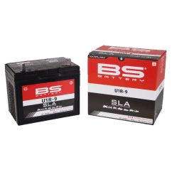 Batteries sans entretien AGM SLA prêtes à l’emploi