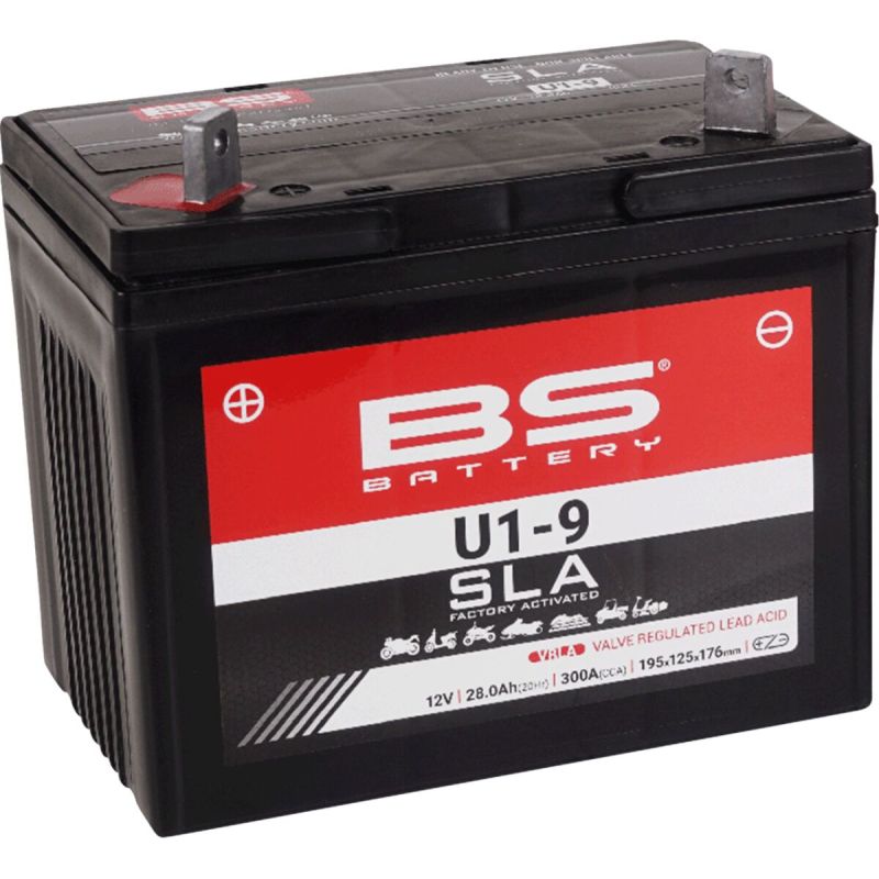 Batterie AGM SLA activée en usine sans entretien