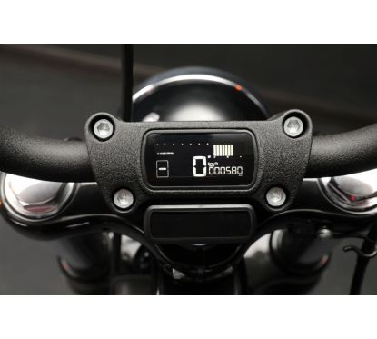 Indicateur multifonction LCD D2