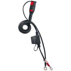 CHARGEUR DE BATTERIE BS10 6 V/12 V-1 A - Prise Royaume-Uni