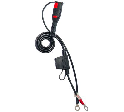 CHARGEUR DE BATTERIE BS10 6 V/12 V-1 A - Prise Royaume-Uni